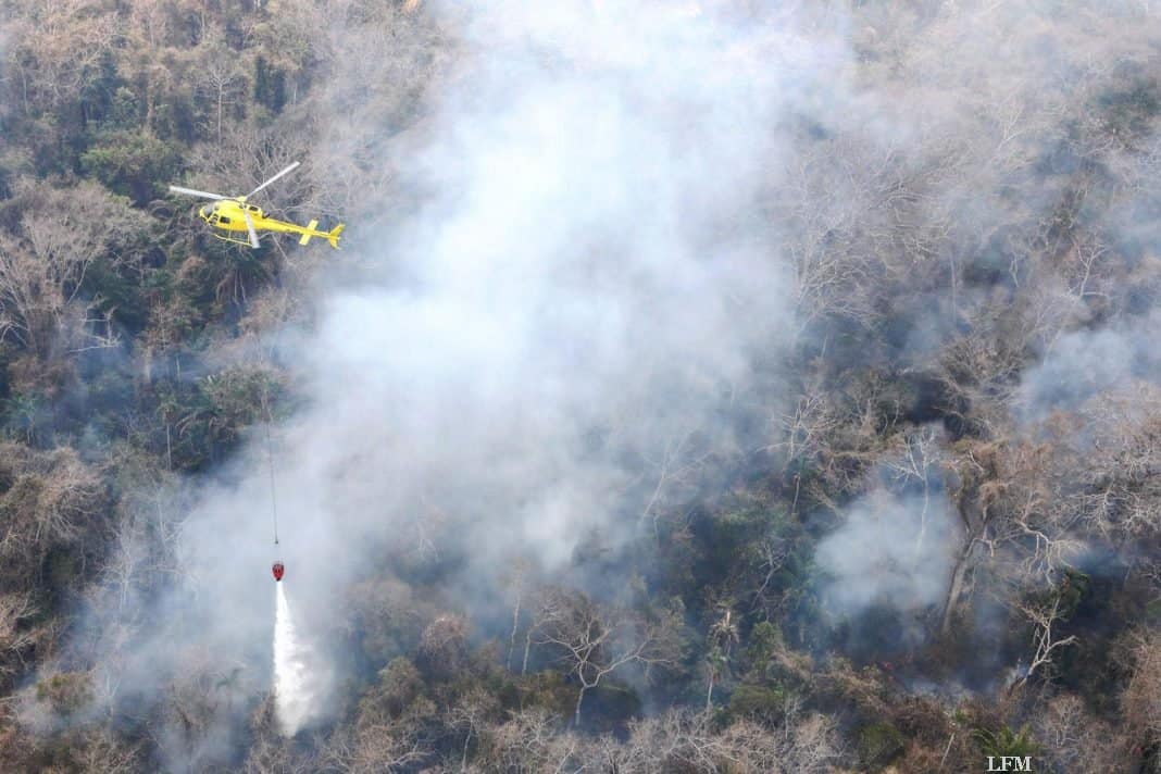 H125 bei der Brandbekämpfung in Bolivien