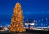 Flughafen München begrüßt mit 19 Meter Weihnachtsbaum